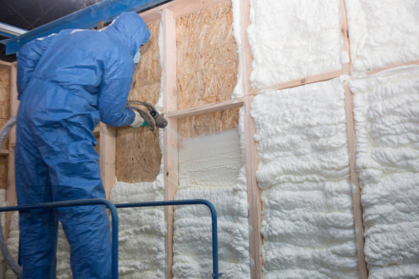 Best Wall Insulation Installation  in Lakin, KS